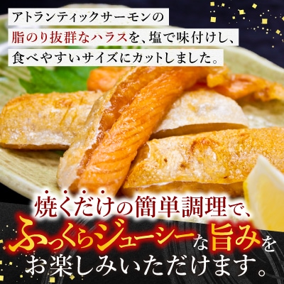 【年内配送可○】塩サーモンハラス220g×10パック A-09021