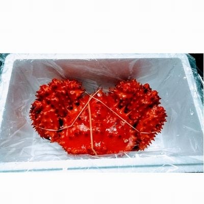 【年内配送可○】★花咲ガニ800～900g前後×1尾 B-57019