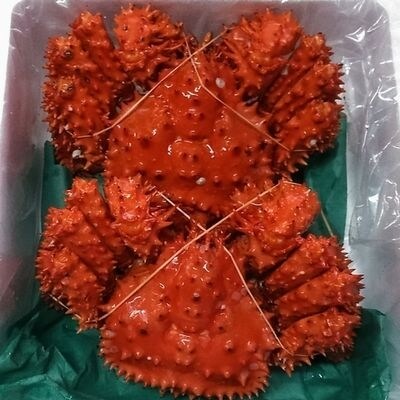 【年内配送可○】花咲がに2尾(計2.4kg前後)(チルド便) D-57016