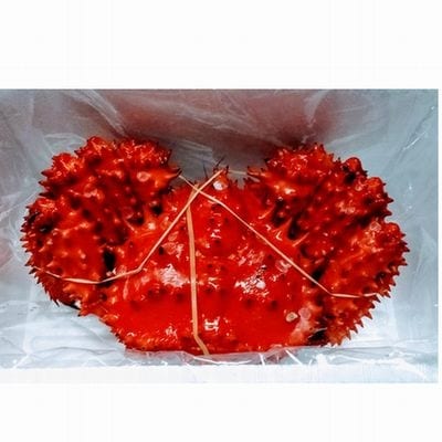 【年内配送可○】花咲がに1.8kg前後×1尾(チルド便) D-57017