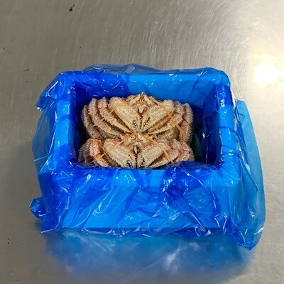 【年内配送可○】ボイル毛蟹300g～395g×2尾 C-89005