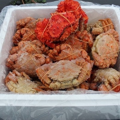 【年内配送可○】★クリガニ24~28尾(計4kg前後)、花咲ガニ1尾 A-57046