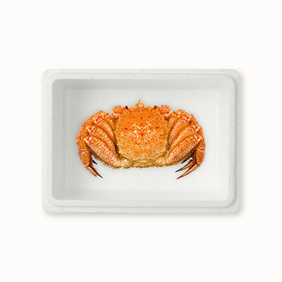 【年内配送可○】毛がに600g×1尾 B-54008