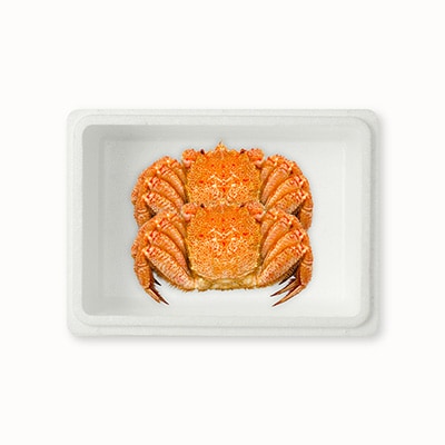 【年内配送可○】毛がに400g×2尾 B-54009