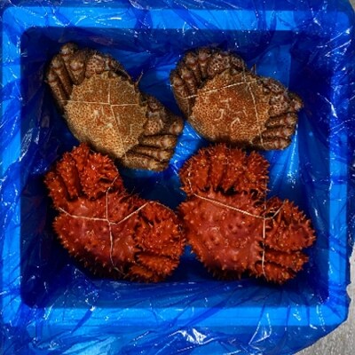【年内配送可○】★毛がに・花咲がに各500g前後×2尾 D-21006