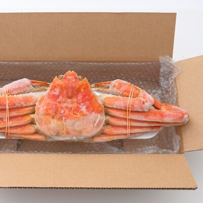 【年内配送可○】本ズワイガニ1kg前後×1尾 B-25014