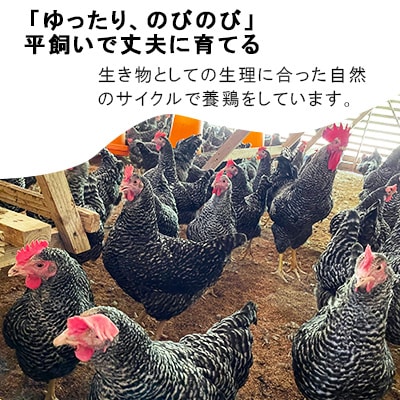那珂川の金太郎卵 60個(6個入り×10パック)