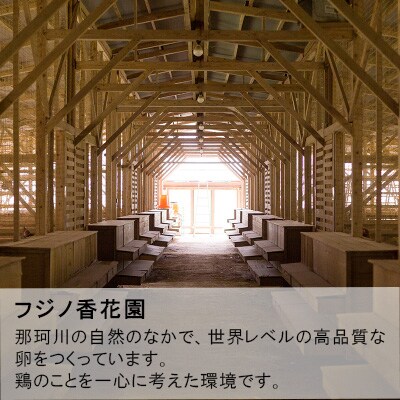 金太郎たまごかけセット
