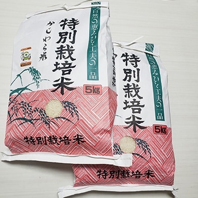令和3年産かじわら米(白米)10kg(5kg×2)