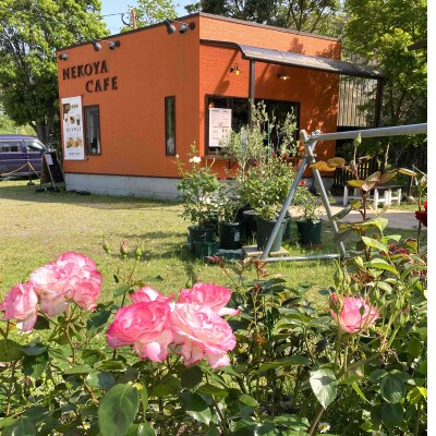 【さとふる限定】里山で焙煎!南畑ブレンド&おすすめスペシャルティコーヒーセット