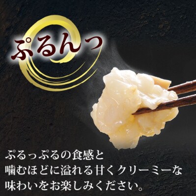 博多もつ鍋やまやのもつ鍋セット　あごだし醤油味　5～6人前(那珂川市)