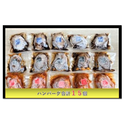 煮込みチキンハンバーグ　160g×15個(加熱済加工品)