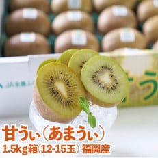 福岡県産ブランドキウイ「甘うぃ」約1.5kg(12-15玉)(那珂川市)