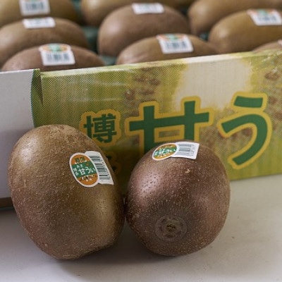 福岡県産ブランドキウイ「甘うぃ」約1.5kg(12-15玉)(那珂川市)