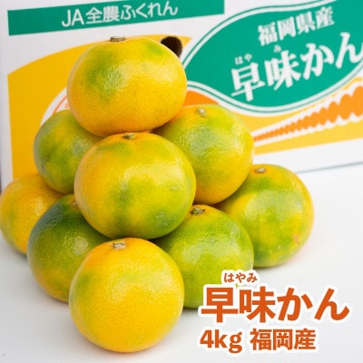 福岡産ブランドみかん　早味かん約4kg箱(那珂川市)