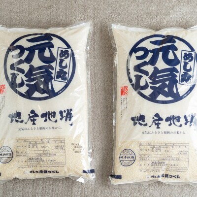 果物屋さんが選んだ米「元気つくし」10kg(那珂川市)