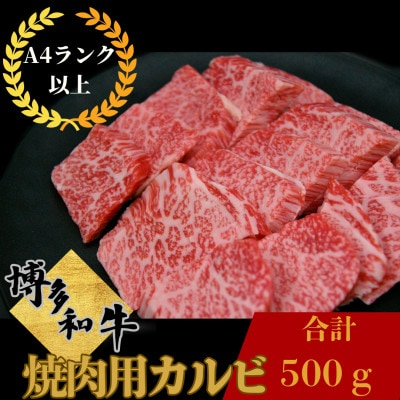 博多和牛 焼肉用 バラ (カルビ) 500g