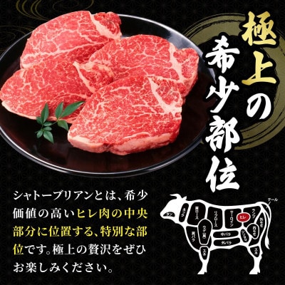 博多和牛 希少部位 シャトーブリアン 200g×2枚 計400g