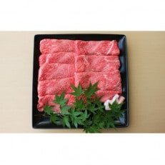 【博多和牛】すき焼き用 上スライス 450g(2～3人前)(那珂川市)