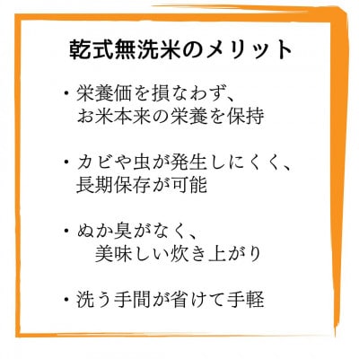 【無洗米】夢つくし 《真空パック》3kg(1kg×3本) 福岡県産(那珂川市)