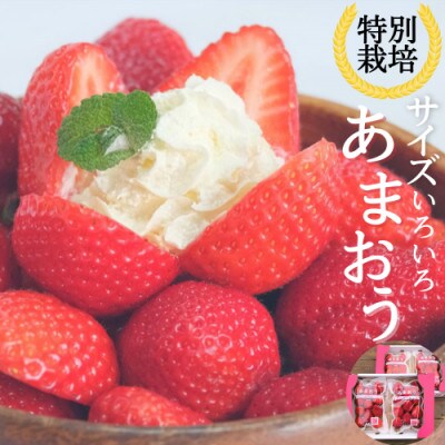 うるう農園のあまおう サイズ色々 4パック(1140g)(那珂川市)