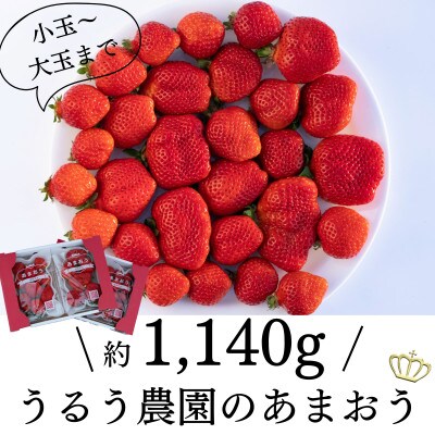 うるう農園のあまおう サイズ色々 4パック(1140g)(那珂川市)
