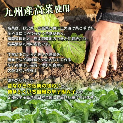 博多ふくいちのめんたい辛子高菜200g×4袋(那珂川市)