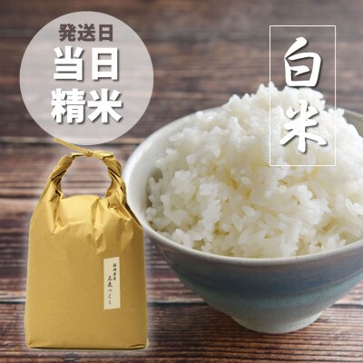 福岡県産「元気つくし」5kg×1袋 [5kg] [白米](那珂川市)