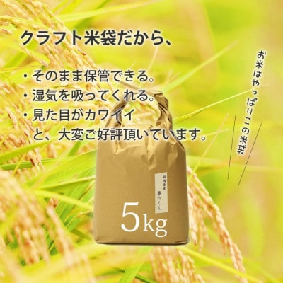 福岡県産「夢つくし」5kg×1袋 [5kg] [玄米](那珂川市)