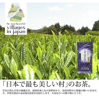 【毎月定期便】八女茶　奥八女星野村 深蒸し高級煎茶(深蒸し茶)100g×1袋(那珂川市)全6回