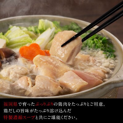 【うまか～っ】旨辛仕立ての博多もつ鍋&福岡水炊き6～8人前セット!味にこだわった逸品(那珂川市)