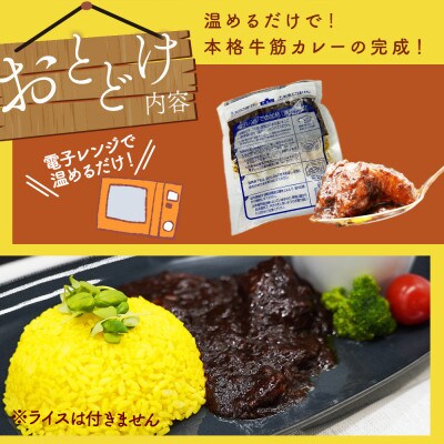 博多和牛100%使用!!あまおうがほのかに香る牛すじゴロっとカレー(170g×15袋)(那珂川市)