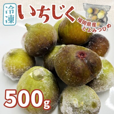 福岡県産「博多とよみつひめ」冷凍いちじく!500g(那珂川市)