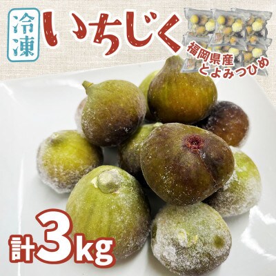 福岡県産「博多とよみつひめ」冷凍いちじく!合計3kg(那珂川市)
