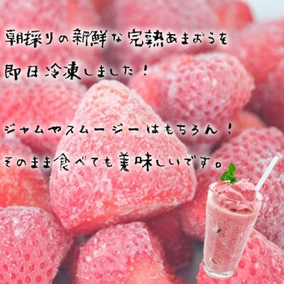 【先行受付】冷凍あまおう1kg(那珂川市)