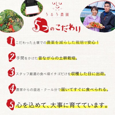 【先行受付】冷凍あまおう1kg(那珂川市)