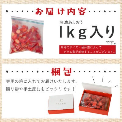 【先行受付】冷凍あまおう1kg(那珂川市)