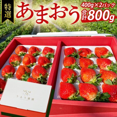 【先行受付】特選あまおう　800g(那珂川市)