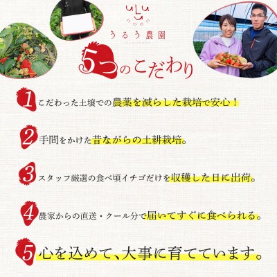 【先行受付】特選あまおう　800g(那珂川市)