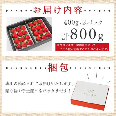 【先行受付】特選あまおう　800g(那珂川市)