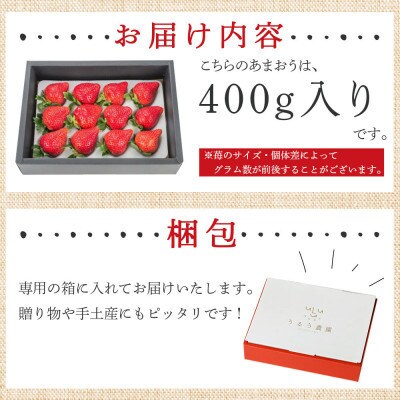 【先行受付】特選あまおう　400g(那珂川市)