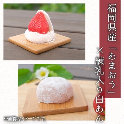 【先行受付】あまおう大福セット(冷蔵)(那珂川市)