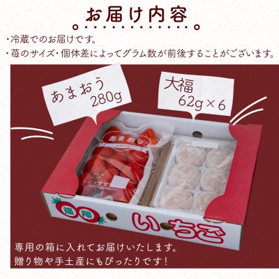 【先行受付】あまおう大福セット(冷蔵)(那珂川市)
