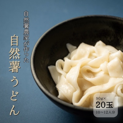 自然薯うどん 国産小麦100% 冷凍 無添加 化学合成添加物不使用 自然薯入り平麺 20玉セット
