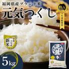 【化粧箱入り】新米!!令和6年産 福岡県産米 元気つくし 5kg(5kg×1袋)(那珂川市)