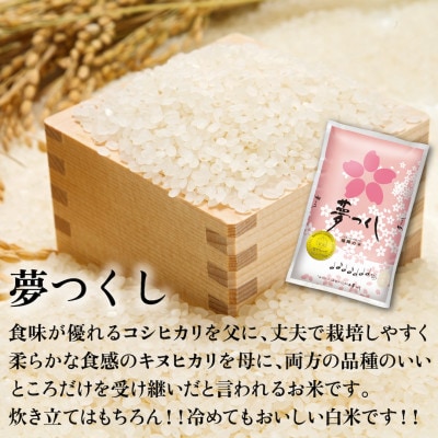 新米!!令和6年産 福岡県産米 食べ比べ(夢つくし・元気つくし) 計10kg 各5kg×1 那珂川市