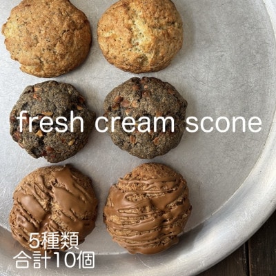 生クリームスコーン　おまかせ5種10個セット