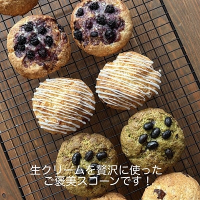 生クリームスコーン　おまかせ5種10個セット