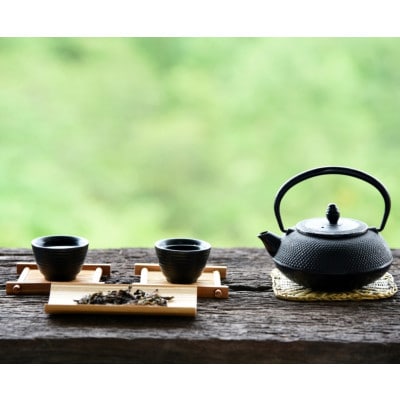 八女茶　煎茶セット　100g×2袋(那珂川市)