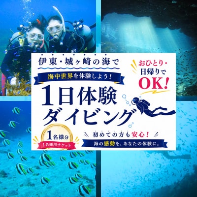 おひとり・日帰りでOK! 伊東・城ヶ崎の海で1日体験ダイビング
